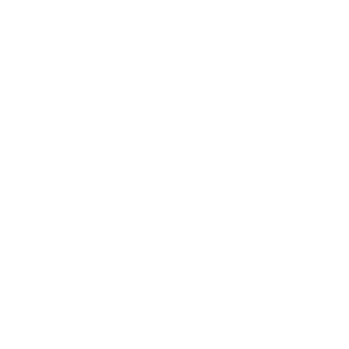 earth ico